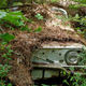 Illustration for article titled DIOCCUSA: Reclusive Renault (iwith video)/i